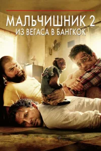 Maлbчuɯнuk 2: u3 Beraсa в ƃaнrk0k